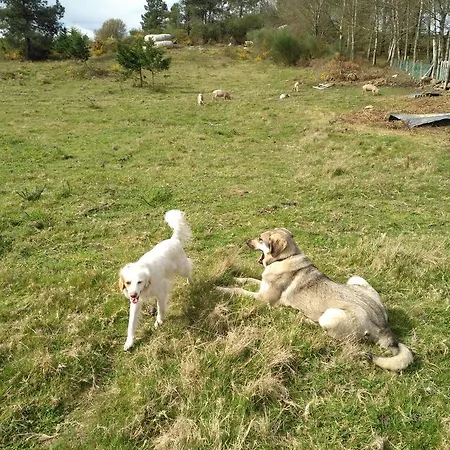 Hétvégi ház Caserio De Fontes Nogueira de Ramuin