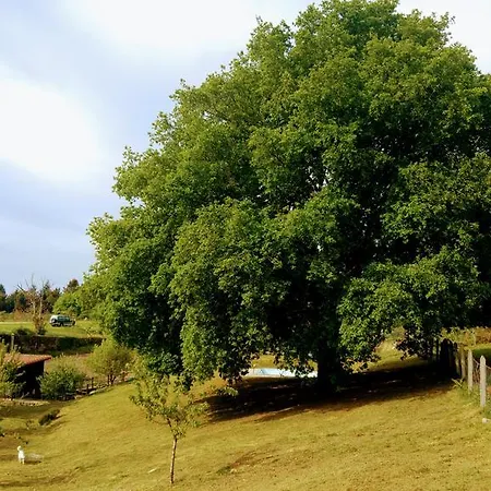 Caserio De Fontes Casa rural Nogueira de Ramuín