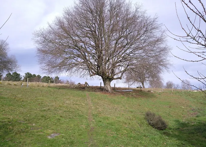 Casa de Campo Caserio De Fontes