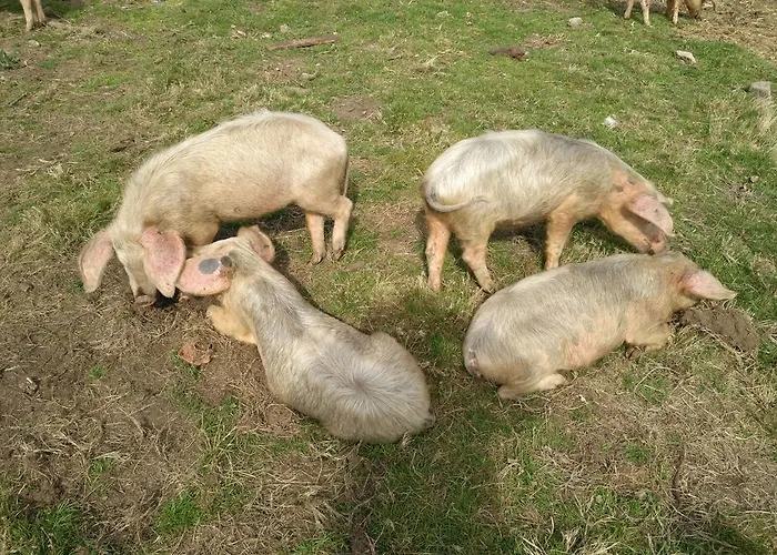 Caserio De Fontes Casa de Campo