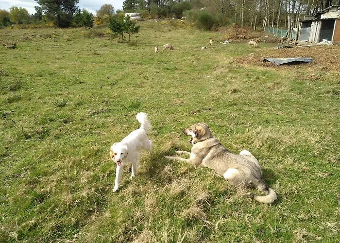Gospodarstwo wiejskie Caserio De Fontes Nogueira De Ramuin