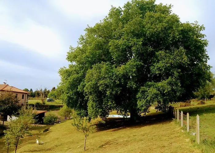 Caserio De Fontes Casa de Campo Nogueira De Ramuin